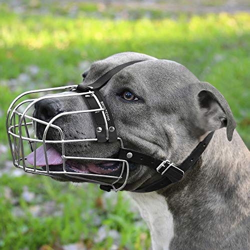 BRONZEDOG Dog Muzzle Pitbull Metal Mask Amstaff Wire Basket Pit Bull Adjustable Leather Straps for Large Dogs - Image 5