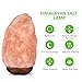 Sunnest Natural Himalayan Salt Lamp, 9 inch Hand Carved Crystal Salt Rock Lamps, Pink Hymalain Salt Lamps, Wood Base with Dimmer Control, Air Purifying