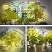 GROWSTAR 50W LED Plant Lights for Indoor Plants, Super Bright 100 LEDs Sunlike Full Spectrum Grow Lamp, Dual Head 360 Degree Gooseneck Grow Light with Replaceable Bulbs Seedling Plant Grow Light