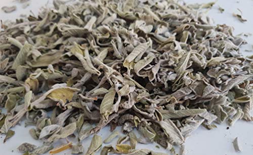 Wilder Griechischer Salbei Kräutertee Ganze Blätter 85g - 1.95Kg Ernte Juni 2022 Salvia Triloba (1950 gramm) – Bild 3