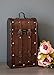 Twine Antique Wooden Decorative Box with Lid and Handle, Wine Accessory Sets, Wood, Faux Leather, Brass Accents, 2 Bottle