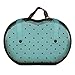 Travel Bra Organizer Lingerie Bag - For Bra Sizes D, DD, DDD - Womens Underwear Organizer Pouch For Large Cup Bras - Organize & Protect Bras When Traveling - EVA Bra Travel Case - Tiffany Turquoise