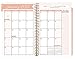 Bloom Daily Planners 2017 Daily Planner, 8.25 x 4-Inches, Rose Gold Stripes,