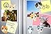 MORCART 6pcs Cat Magnets for Refrigerator, Cute Fridge Magnets for Kitchen Locker Whiteboard Office Menu Message Board