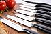 ZYLISS Control Kitchen Knife Set with Block - Professional Cutlery Knives - Premium German Steel - Chefs, Santoku, Bread, Carving, Utility, Paring, Shears and Steak Knives, 16-Piece
