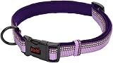 Halti Dog Collar Premium Comfy Nylon Neoprene Purple Size M