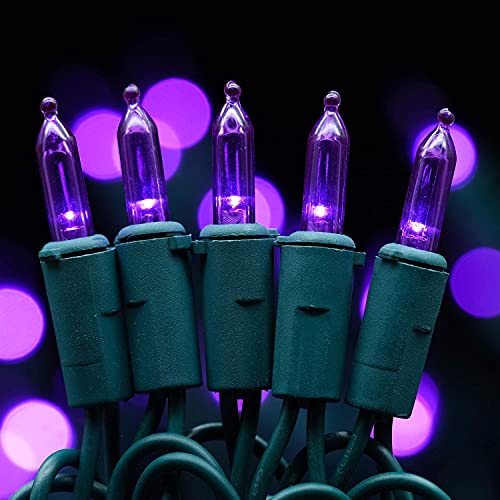 Purple LED Christmas Lights, 66 Ft 200 Counts UL Certified Green Wire Holiday String Lights Set
