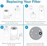 Levoit Core300 Replacement Filter 3-in-1 HEPA Activated Carbon Yellow Pet view 7