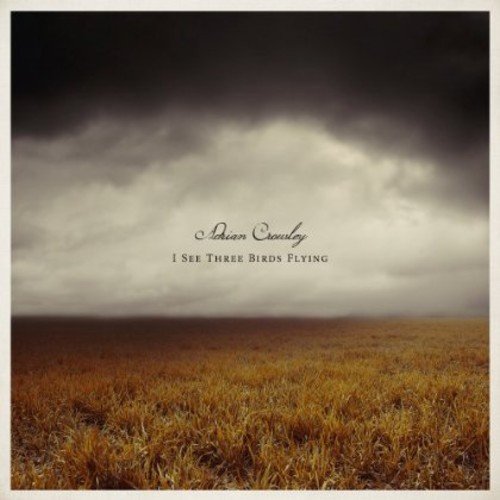 Adrian Crowley - See Three Birds Flying