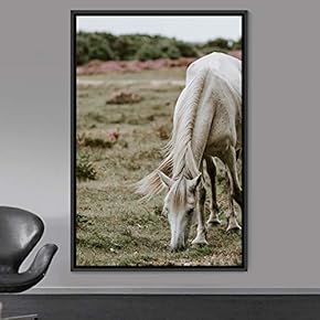 signwin Framed Canvas Wall Art Horse Animals Dramatic...