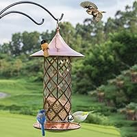 Panorama Bird Feeder Wild Bird Feeders The Ideal Small Bird Seed