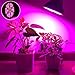 80W Led Grow Light Bulb, Plant Light Bulbs Full Spectrum for Indoor Plants Hydroponics Vegetables and Seedlings, Grow Bulb for Flowers Tobacco Garden Greenhouse and Organic Soil (E26 120LEDs)