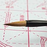 Gridded Magic Cloth Water-Writing for Practicing Chinese Calligraphy or Kanji