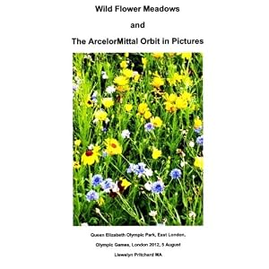 Wild Flower Meadows and The ArcelorMittal Orbit in Pictures (Album de Fotos) (Volume 18) (Spanish Edition)