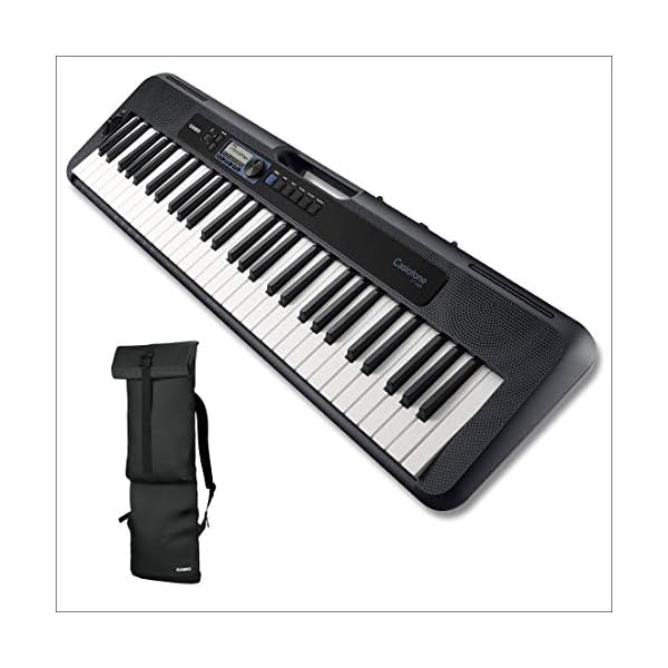 casio ct s300 portable keyboard
