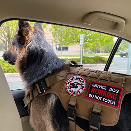 10 Pieces Service Dog K9 Please Don't Pet Me in Training No Touch Full Embroidered Badge Emblem Patch for Service Dogs Harness Vest Clothes