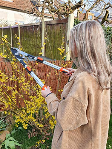ML Amboss-Astschere mit Teleskopgriff inklusive schnittfesten Handschuhen. Gartenschere für alle Arten von Holz. – Bild 3