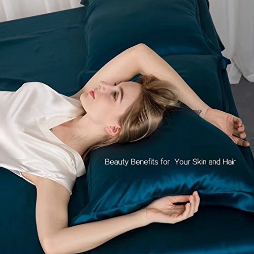 THXSILK 100% 19mm Mulberry Silk Pillowcase Pillow Sham for Hair and Skin (White, Queen)