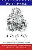 A Dog's Life by 