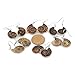 Justinstones Natural Ammonite Fossil Earrings