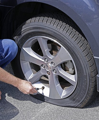 2 Slime+20178+Valve+Core+Tool