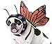 California Costumes Pet Bat Dog Costume