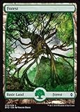 Magic: the Gathering - Forest (273) (273/274) - Battle for Zendikar