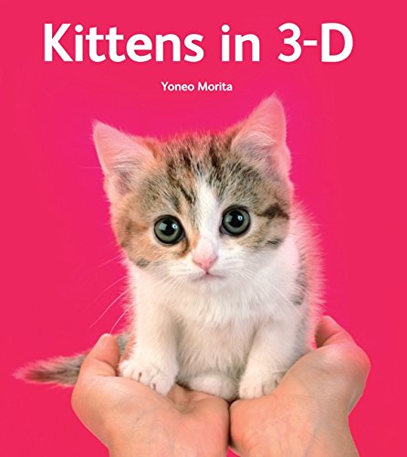 Kittens In 3 D Yoneo Morita 9780062039576 Amazoncom Books
