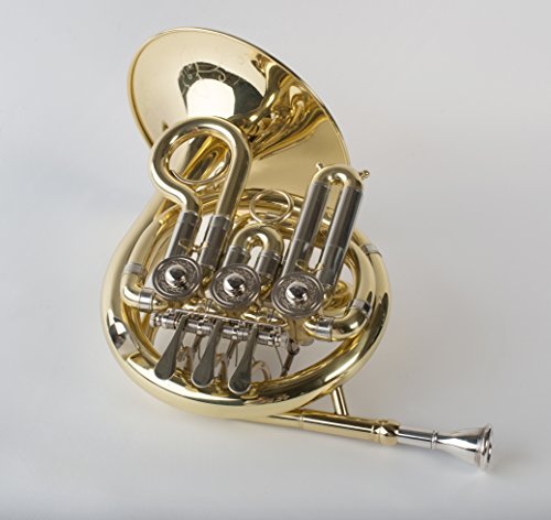 Tempest Agility Winds Mini Pocket French Horn in Bb 3 Rotary Valves Engraved Lacquered Brass with Case and Mouthpiece 5-Year Warranty