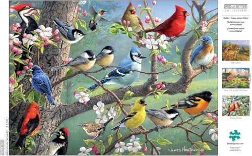 Buffalo Games - Hautman - Birds in an Orchard - 1000 Piece Jigsaw Puzzle For Adults -Challenging Puzzle Perfect for Game Nights - Finished Size is 26.75 x 19.75