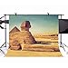 MEETSIOY 7x5ft World Famous Architecture Backdrop Egyptian Sphinx Background Photo Booth Studio Props Theme Party Backdrop MT415