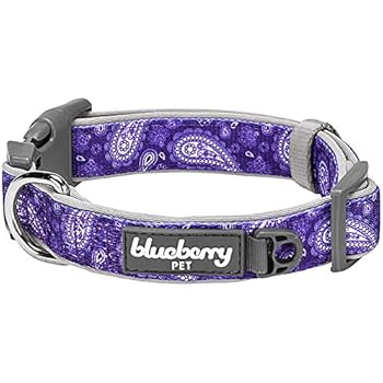 Blueberry Pet 5 Patterns Soft & Comfy Paisley Flower Print Neoprene Padded Adjustable Dog Collar, Violet, Small, Neck 12