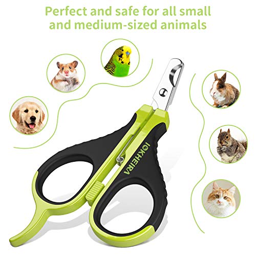 parrot nail clippers