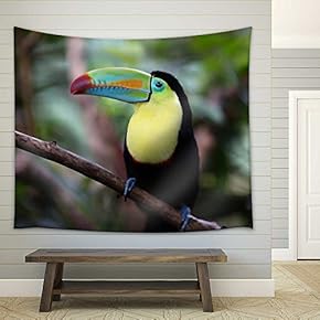 Beautiful Keel-Billed Toucan Perched on a Branch - Fabric Wall Tapestry Home Decor - 51x60 inches