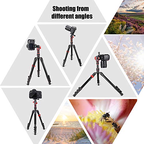 Zomei M5 Camera Tripod,Lightweight Travel Aluminum Tripod Monopod Compact Portable Photography Tripod Stand with 360 Degree Ball Head and Phone Clip for DSLR Cameras, Smartphone