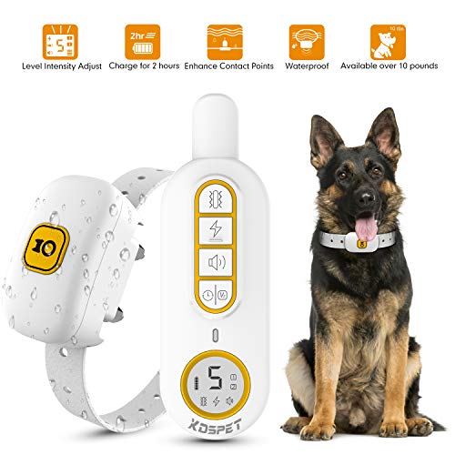 shock collar for 10 pound dog