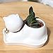 Modern White Small Animal Cub Cat Planter Succulent Plant Decoration Ceramic Porcelain Flower Pot Miniature Flowerpot with Tray Bell On The Neck 4.7 X 2.95 X 3.15 inches (NO Plants)
