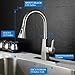 Kitchen Sink Faucet-Arofa A03LY Single Handle Brushed Nickel Stainless Steel gooseneck Kitchen faucets with Pull Down Sprayer