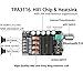 200W Bluetooth Amplifier Board TPA3116,DAMGOO 100W+100W Audio Amp Board with LC Filter Technique,Dual Channel DC8-24V,Password Free Connect to Phone Quietlythumb 1