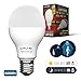 Motion Sensor Light Bulb 7W - Motion Activated LED Light Bulbs with Dusk to Dawn Motion Detector for Outdoor Indoor Front Door Porch Garage Hallway Stairs Wall Lighting - E26 Socket 6000K COOL White