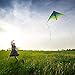 Mint's Colorful Life Delta Kite for Kids & Adults, Extremely Easy to Fly Kite with 2 Ribbons and 300ft Kite String, Best Kite for Beginner (Black Green)