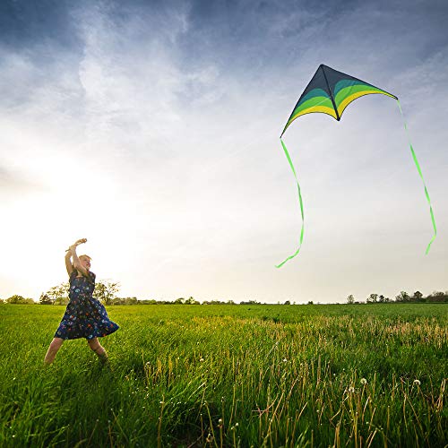 Mint's Colorful Life Delta Kite for Kids & Adults, Extremely Easy to Fly Kite with 2 Ribbons and 300ft Kite String, Best Kite for Beginners