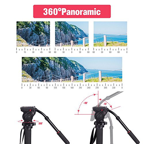 Camera Monopod,WIth Fluid Pan Head Quick Release Plate And Removable feet, 63 Inch Max Load 11 LB for DSLR Cameras or Video
