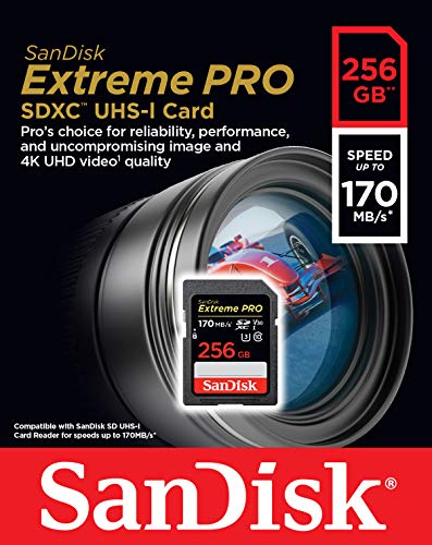 3 SanDisk+256GB+Extreme+UHS+I+SDSDXXY+256G+GN4IN