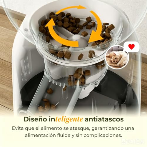 ARENTI Dispensador Croquetas para Perro Gato con Cámara 3MP WiFi 5G/2.4G, 4.5L, con Fuente Agua Inoxidable, Visión Ajustable, IA Detección Mascotas/Sonidos, Alerta Falta Comida, Audio Bidireccional