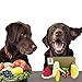 Petzilla PCT-1 Squeaky Sound Chew Toys Package for Pet Dog & Cats (Fruits)
