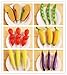 Novelty Pens Vegetable and Fruit Ballpoint Pens Creative Gift Pen Writing Pens Stationery School Office Suppliers Pack of 7