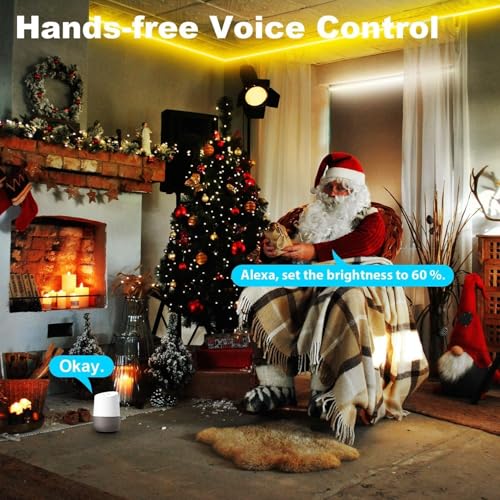 TENDIST Neon Rope Light, IP67 Outdoor LED Strip Lights Waterproof Dimmable Warm White 3000K Cool White 6500K Flexible Strip Light Alexa Compatible, 24V WiFi Neon Flex for Outdoor Decor (9M)