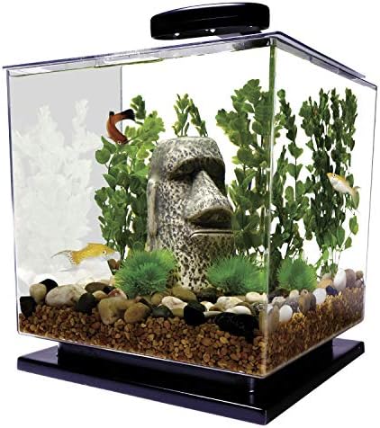 Tetra LED Cube Shaped 3 Gallon Aquarium