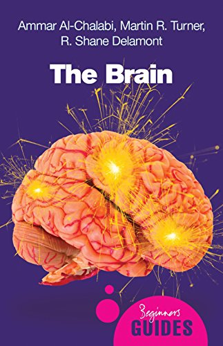 The Brain: A Beginner's Guide (Beginner's Guides)